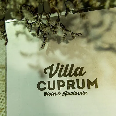 Nocleg ze śniadaniem Cuprum Lubiń
