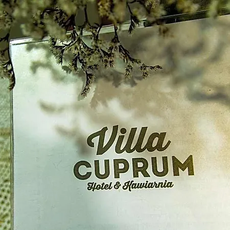 Cuprum Bed & Breakfast 3*