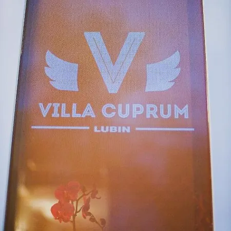 Nocleg ze śniadaniem Cuprum Lubiń