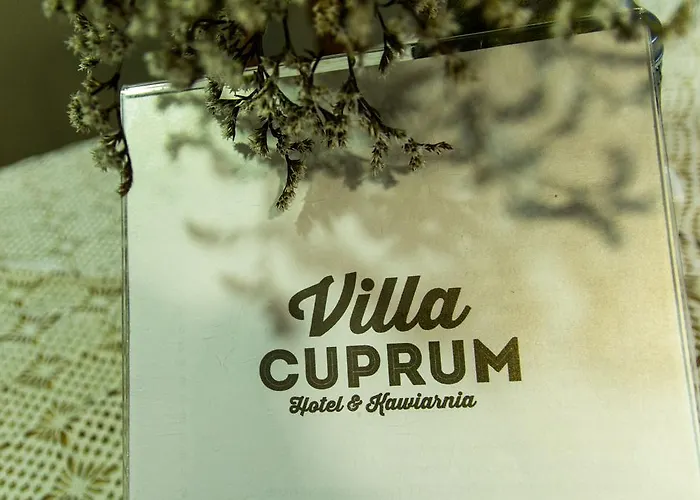 Bed and breakfast Cuprum Lubiń