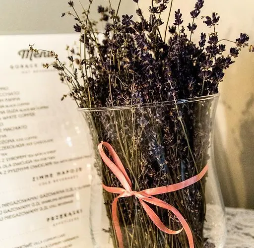 Bed and breakfast Cuprum