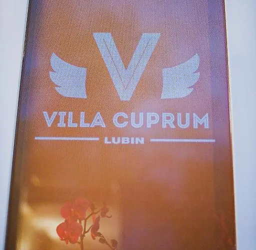 Bed and breakfast Cuprum Lubiń